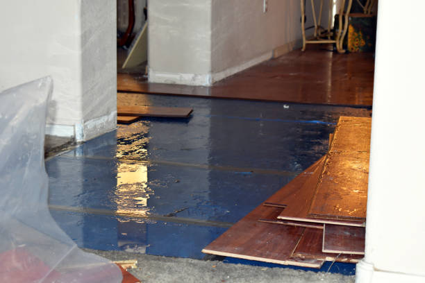 Professional Burst Pipe Cleanup technician working in Tavernier, FL